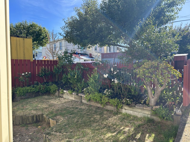 88 Owen Street, Newtown, Wellington - Carousel 19