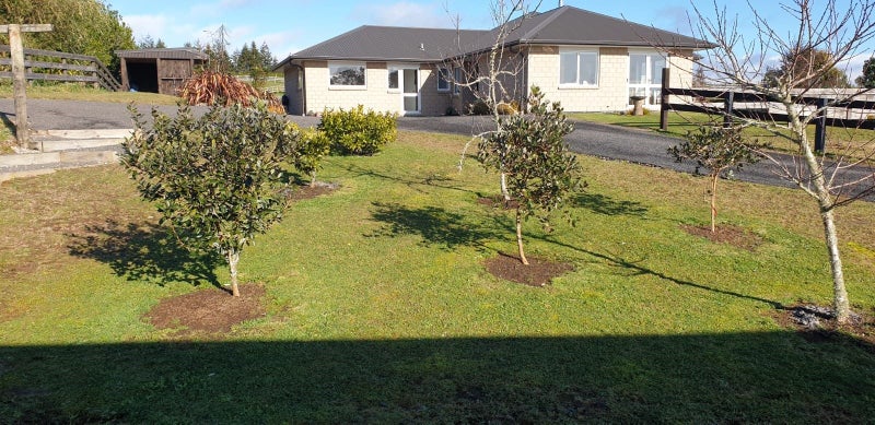 20 Sarona Park Drive, Omanawa - Carousel 14