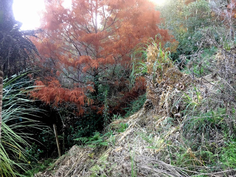 50 Riverhaven Drive, Wade Heads, Whangaparāoa - Carousel 2