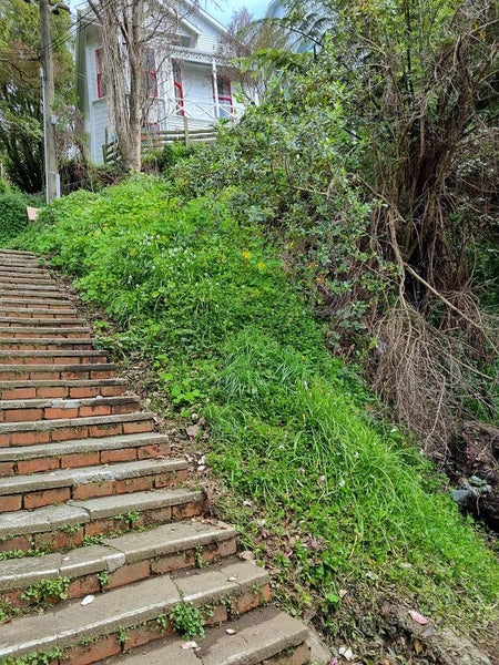 13 Mortimer Terrace, Aro Valley, Wellington - Carousel 2