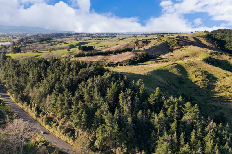 2384 Moutere Highway, Lower Moutere - Carousel 6