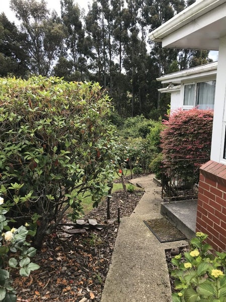 411 Pine Hill Road, Pine Hill, Dunedin - Carousel 20