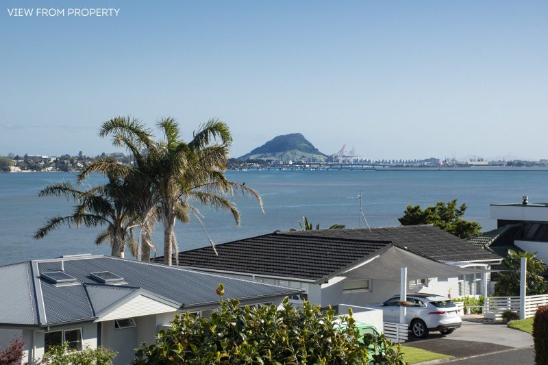 34 Vine Avenue, Maungatapu, Tauranga - Carousel 2