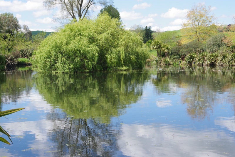 431 Arataki Road, Whakamaru - Carousel 2