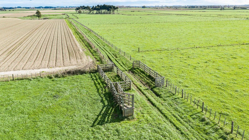 217 Paiaka Road, Koputaroa - Carousel 12