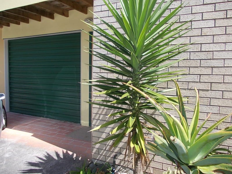 59K Astley Avenue, New Lynn, Auckland - Carousel 2