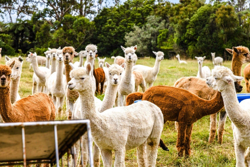 680 Hurford Road, Hurford - Carousel 2