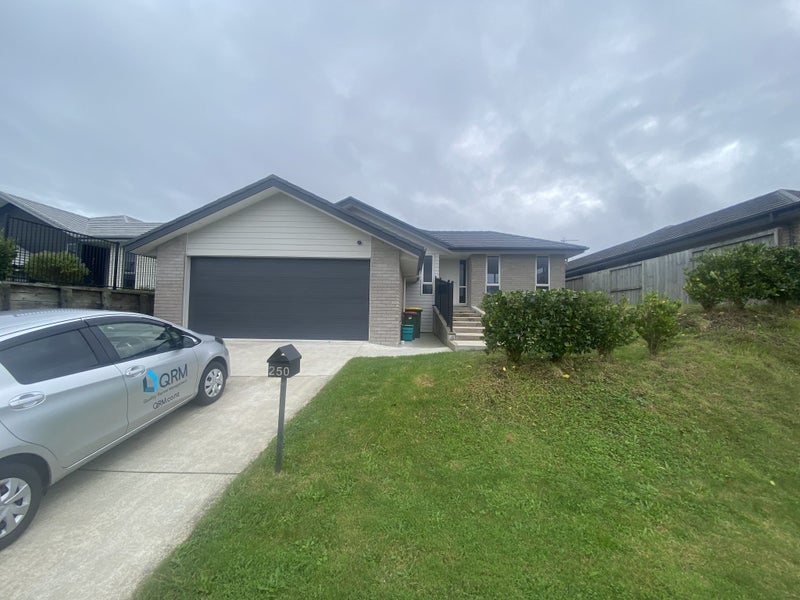 250 Dixon Road, Fitzroy, Hamilton - Carousel 1