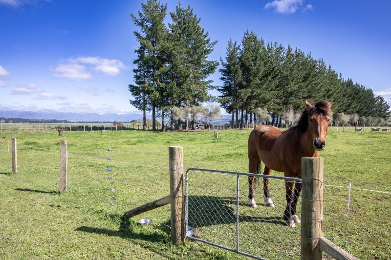 158 Caldwell Road, Ongaonga, Ongaonga - Carousel 21