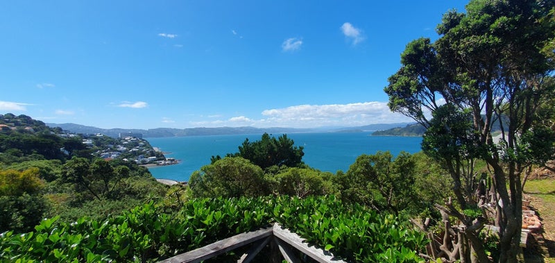 151 Grafton Road, Roseneath, Wellington - Carousel 20