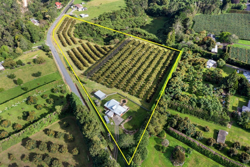 14 Merrick Road, Pyes Pa, Tauranga - Carousel 39