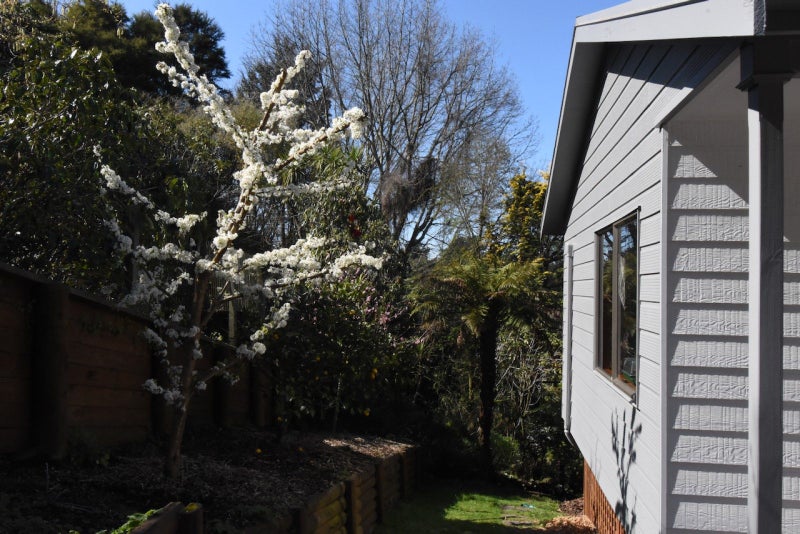 21 Hindmarsh Drive, Rangatira Park, Taupō - Carousel 36