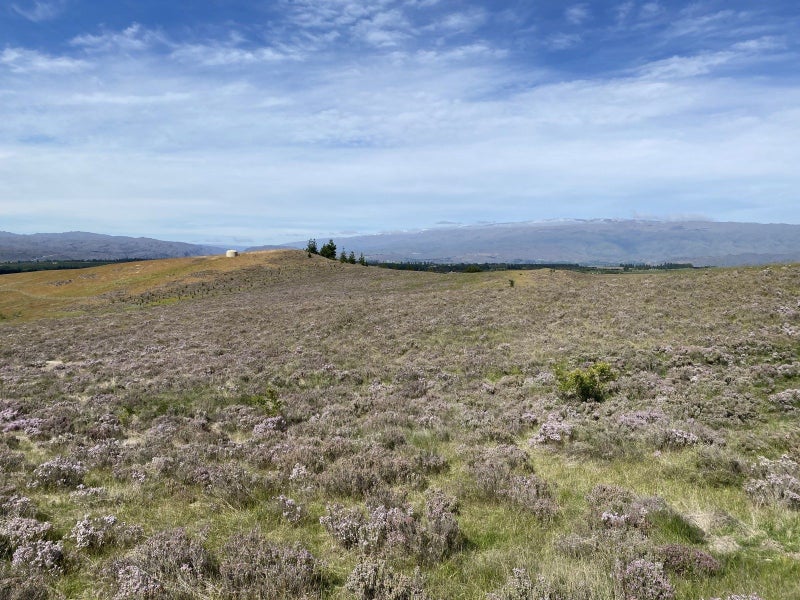 0 Sim Road, Paerata, Papakura - Carousel 2