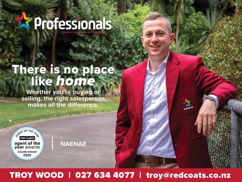 255 Naenae Road, Naenae, Lower Hutt - Carousel 13