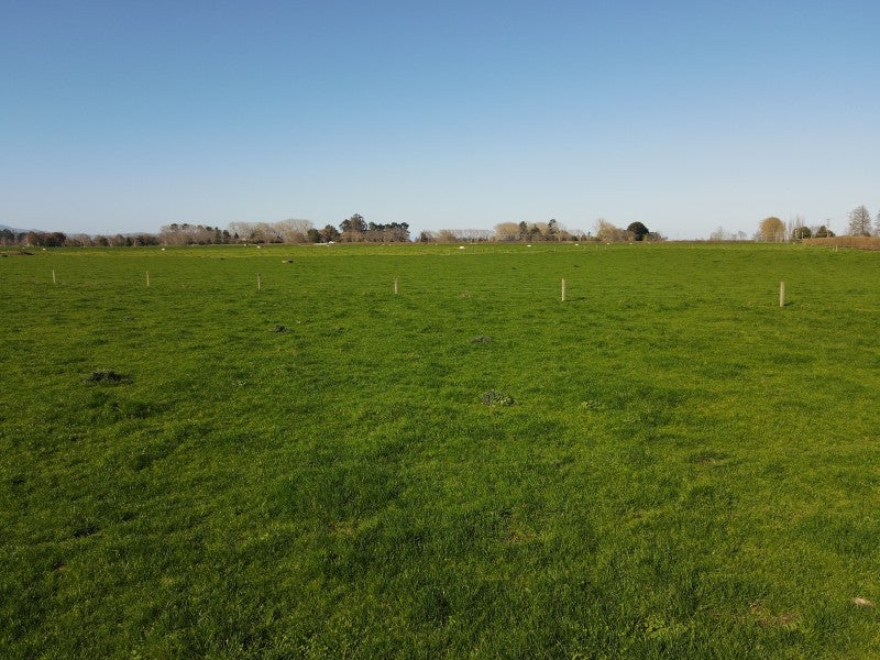 91 Goodwin Road, Cambridge - Carousel 7