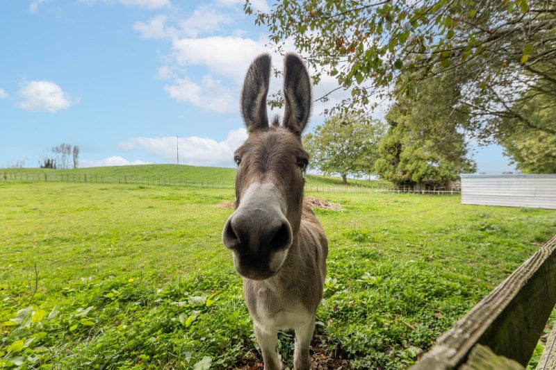 20 Arapuni Road, Arapuni, Putaruru - Carousel 1