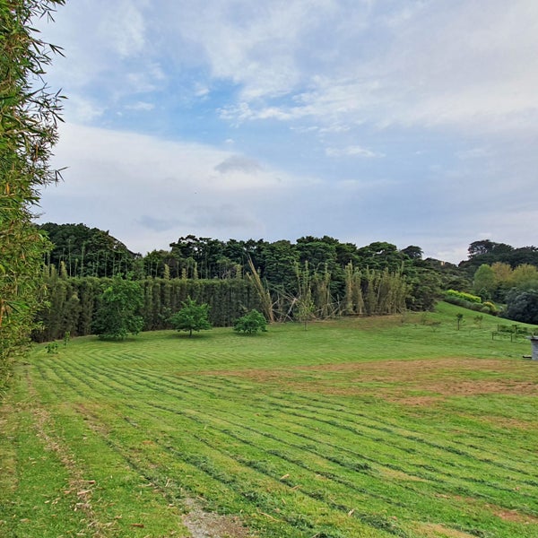 0 Ti Point Road, Ti Point, Leigh - Carousel 29