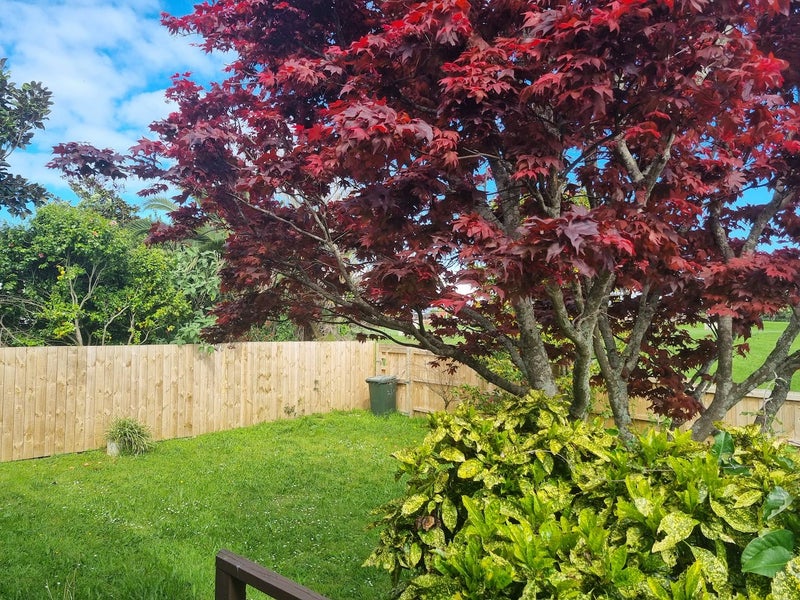 2/65 Abbotts Way, Remuera, Auckland - Carousel 1