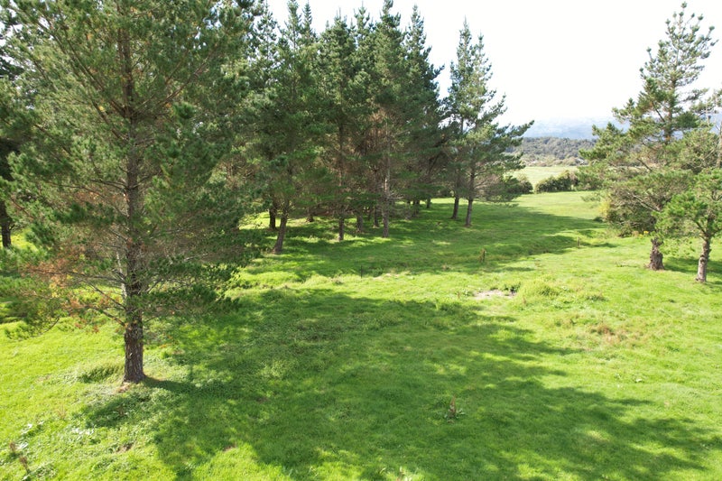 243 State Highway 6, Coal Creek, Greymouth - Carousel 20