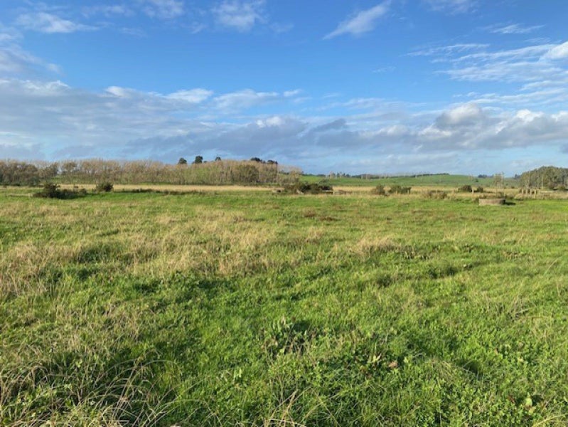 197 Walsh Road, Whatawhata, Hamilton - Carousel 2