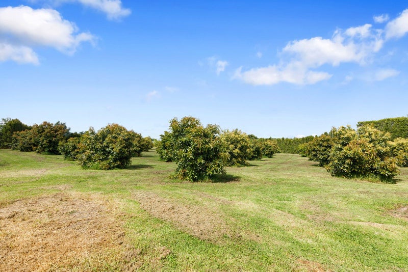 718 Old Coach Road, Te Puke - Carousel 17