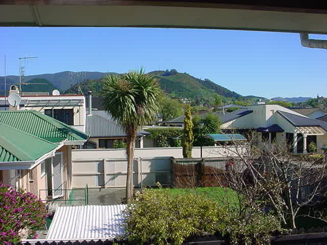 3/20 Collingwood Street, The Wood, Nelson - Carousel 6