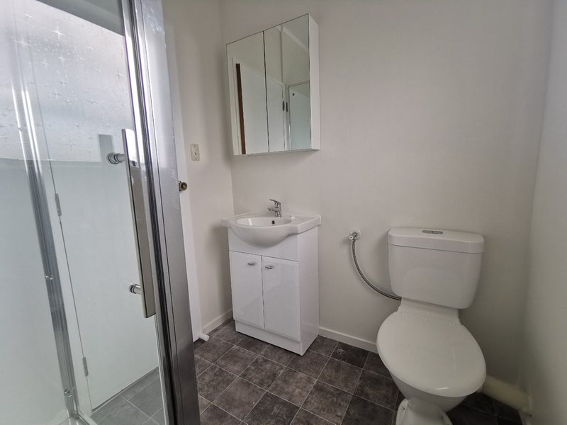 1/251 WATERLOO RD, Hutt Central, Lower Hutt - Carousel 7