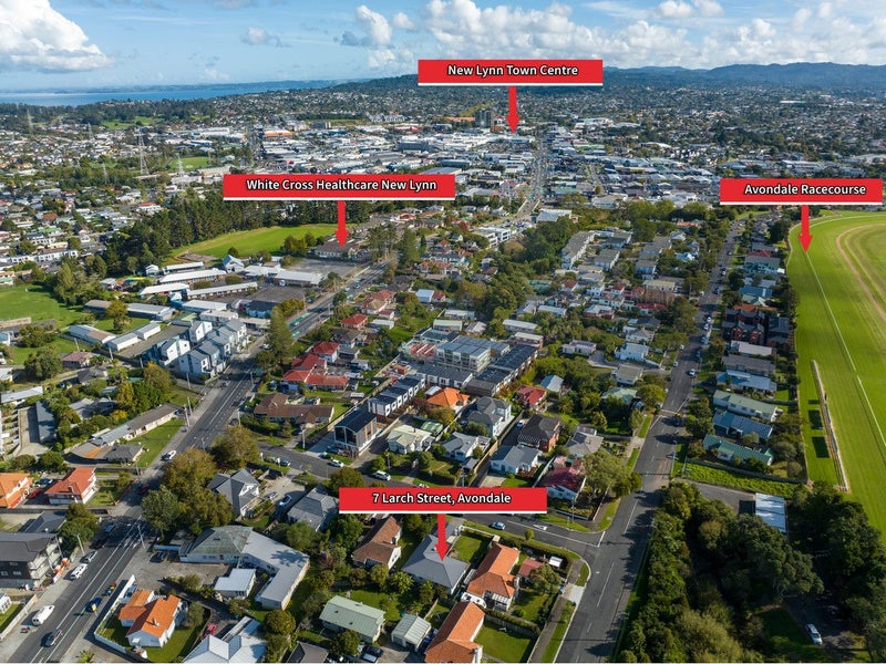 7 Larch Street, Avondale, Auckland - Carousel 20