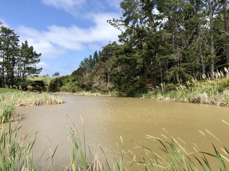 48 Marsh Road, Wharehine, Wellsford - Carousel 34