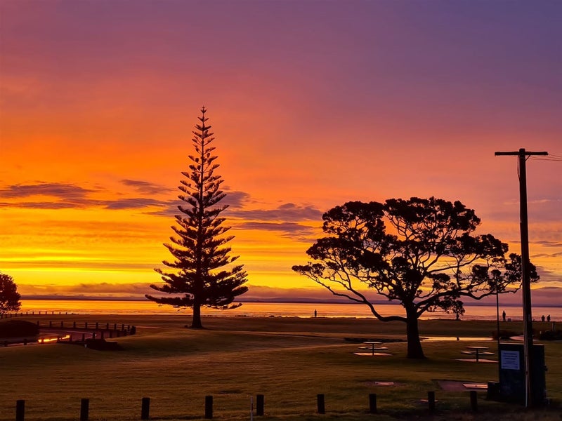 406 Tararu Sh25 Road, THAMES, Thames - Carousel 2