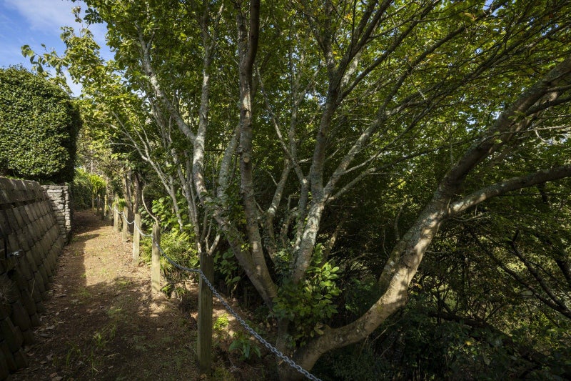 188 Mangorei Road, Merrilands, New Plymouth - Carousel 42