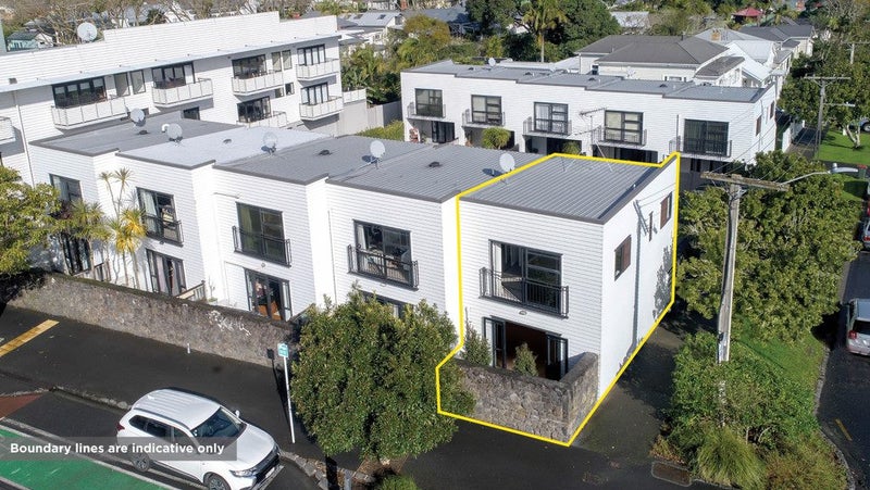 2A Wilton Street, Grey Lynn, Auckland - Carousel 2