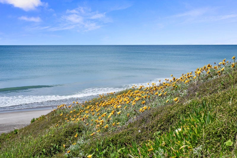 119 Pukehina Parade, Te Puke - Carousel 20