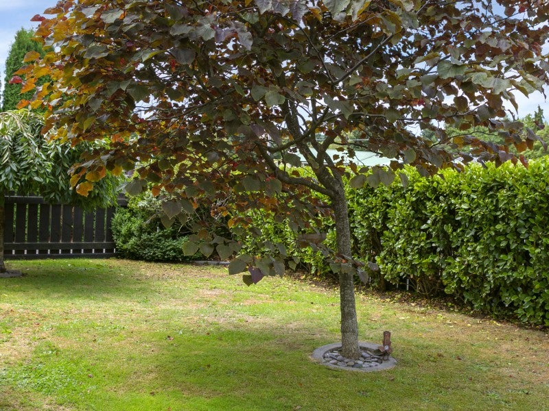 1/20 Puia Street, Tauhara, Taupō - Carousel 15