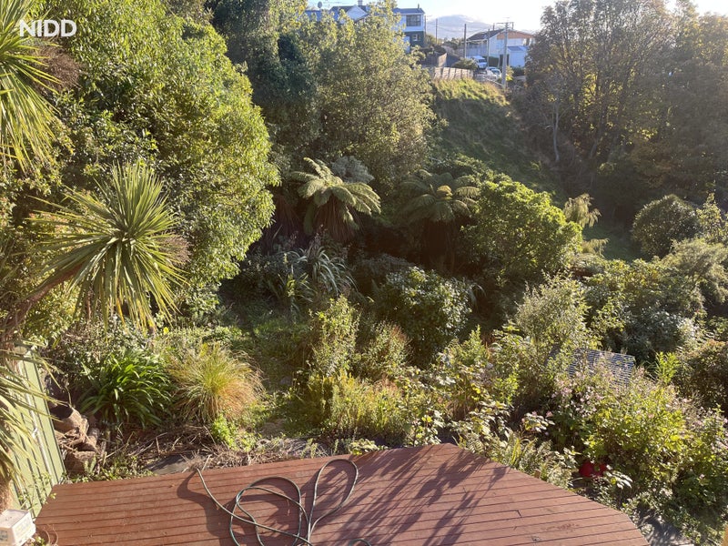 93 Maryhill Terrace, Maryhill, Dunedin - Carousel 10