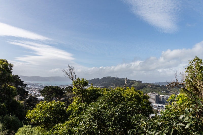 10/23 Finnimore Terrace, Vogeltown, Wellington - Carousel 11