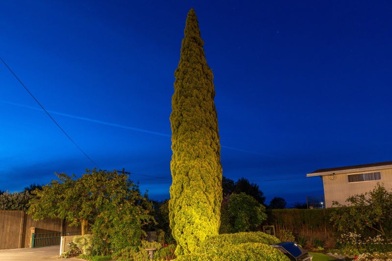 269 Scott Street, Witherlea, Blenheim - Carousel 36