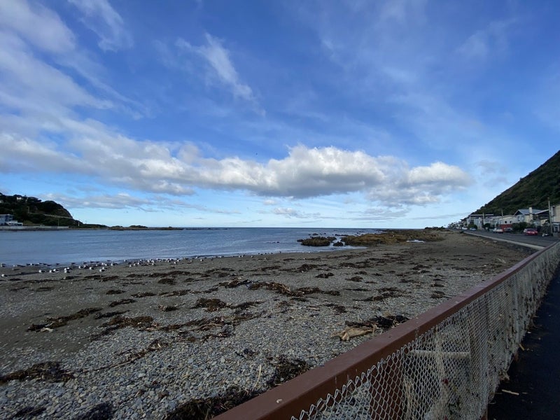 72A Owhiro Bay Parade, Owhiro Bay, Wellington - Carousel 11