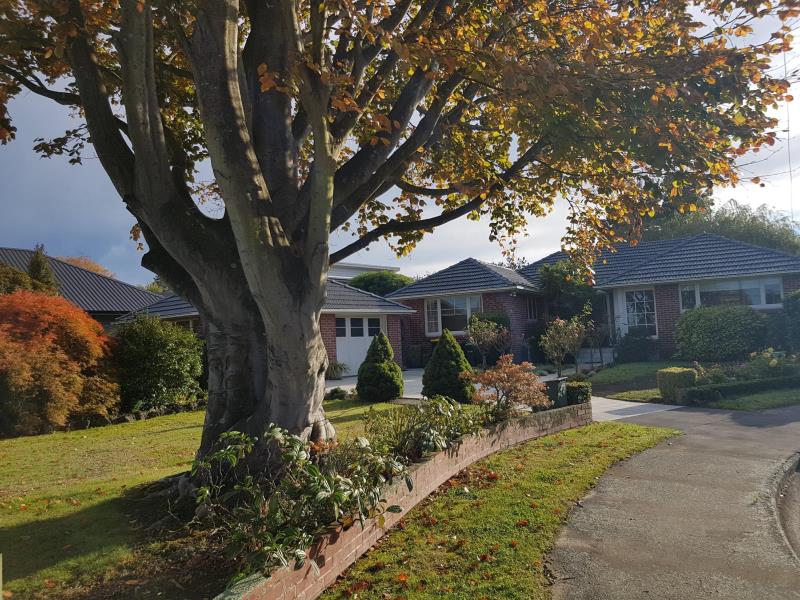 46 Gleneagles Terrace, Ilam, Christchurch - Carousel 1