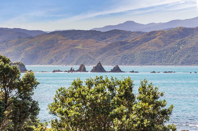 158B Breaker Bay Road, Breaker Bay, Wellington - Carousel 20