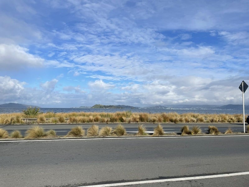 219 The Esplanade, Petone, Lower Hutt - Carousel 2