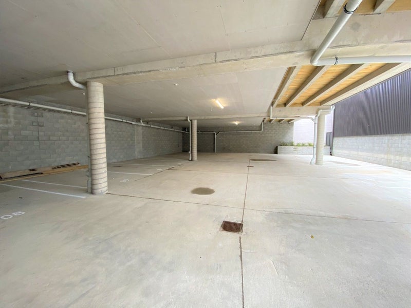 18 Ferguson Street, Newtown, Wellington - Carousel 13