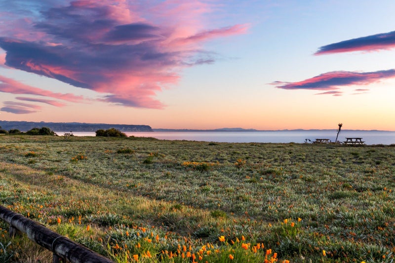 21 Le Quesne Road, Bay View, Napier - Carousel 38