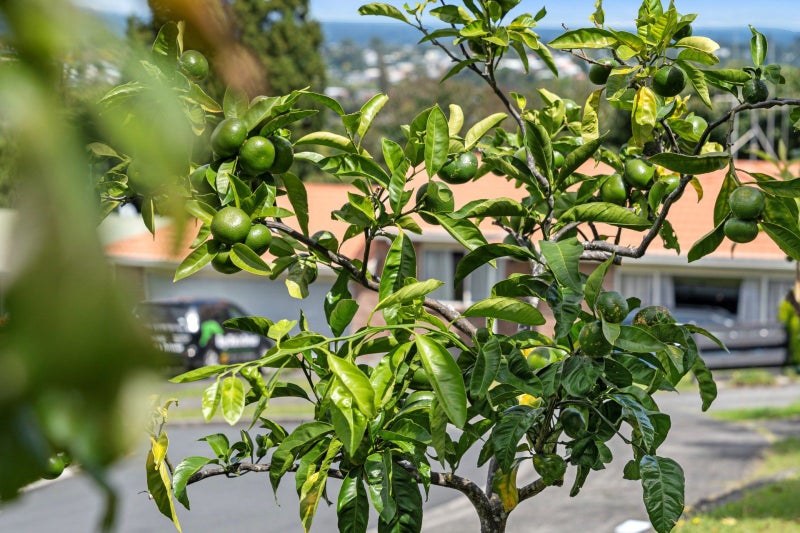 34 Redmond Street, Judea, Tauranga - Carousel 20