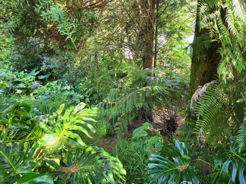 42 Mcentee Road, Waitakere, Auckland - Carousel 22