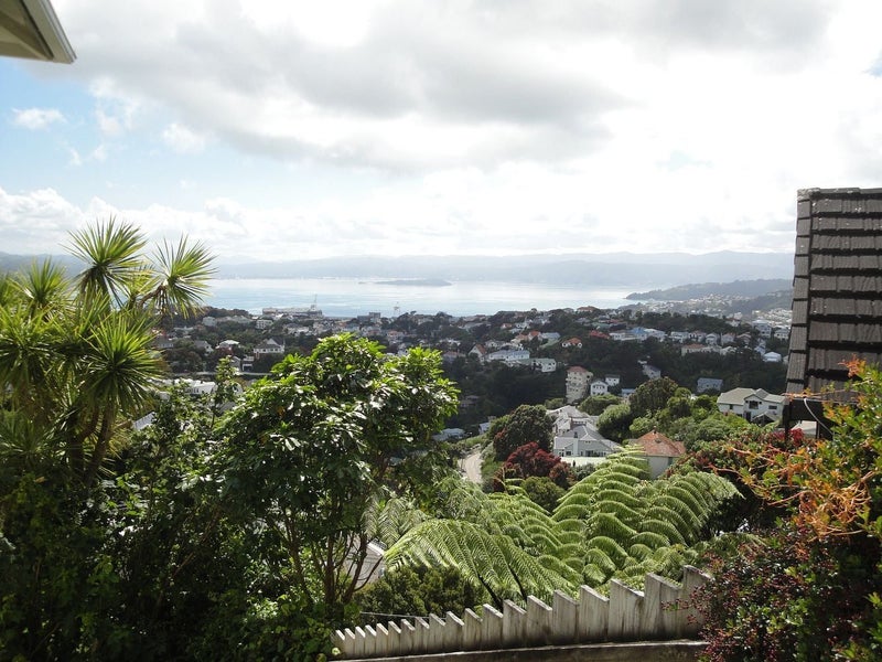 21 Disley Street, Highbury, Wellington - Carousel 18