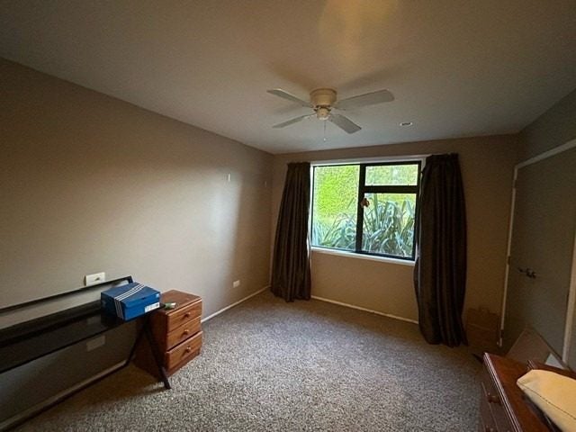 144 Roydon Downs Road, Te Puke - Carousel 14