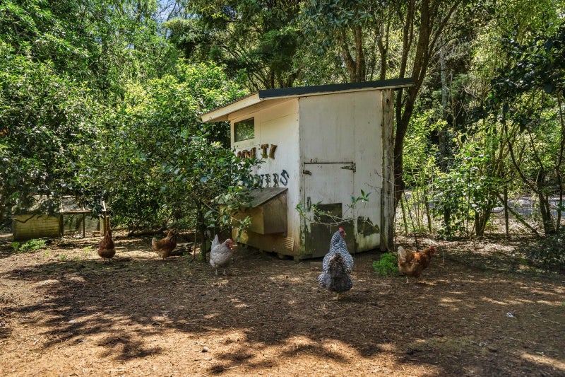 55 Lauries DR, WHANGAREI - Carousel 17