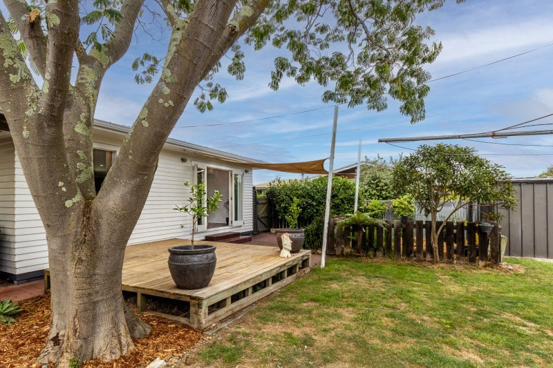 303 Lumsden Road, Akina, Hastings - Carousel 12