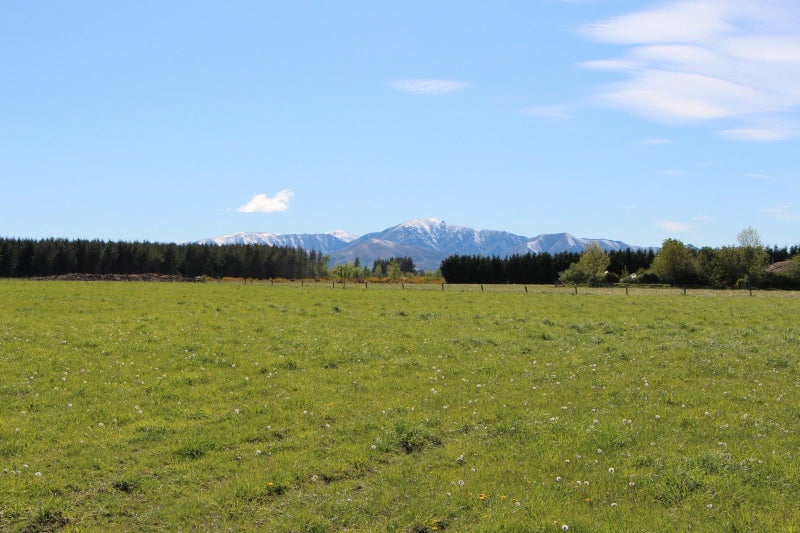 770 Hamilton Road, Ashwick Flat, Fairlie - Carousel 5